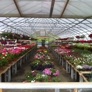 Cosmo's Landscaping & Nursery - New Milford, CT
