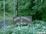 Royal Ridges Retreat - Retreat Facilities