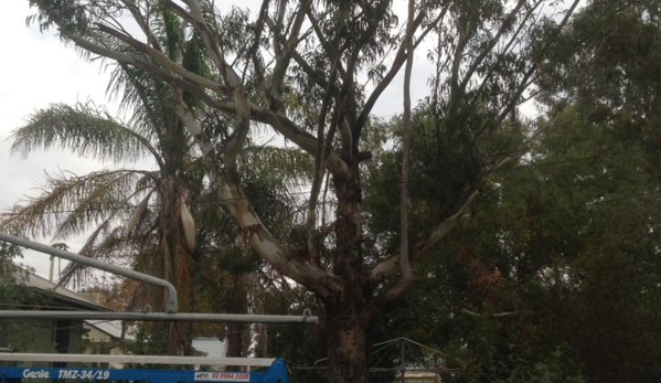 Eldridge Tree Service - Narrandera, NSW