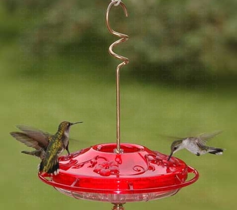 Rubyredbirdfeeders.com - White Pigeon, MI