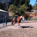 A Partner For Life Horsemanship - Horse Training