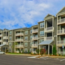 The Ridge at Hamilton Crossing Apartments - Apartments