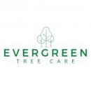 Evergreen Tree Care - Tree Service
