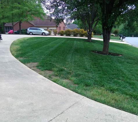 Richie's lawn care - Denton, NC