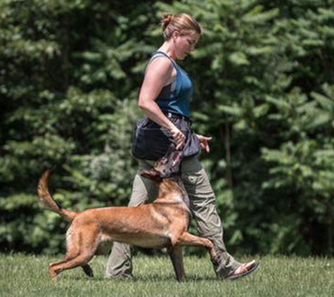 Colonial K-9 - Stafford, VA