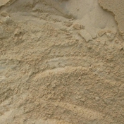 Gallery Image Number 8