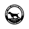 Bird Dog Power Washing and Roof Cleaning gallery