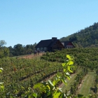 Addison Farms Vineyard