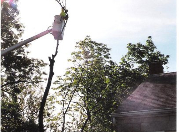 Cincinnati Tree Care - Harrison, OH