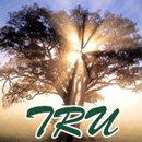 Trees "R" Us, Inc. - Landscape Contractors
