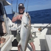 Sea hawk fishing charters gallery