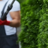 P.J.R Landscaping & Tree Service Corp gallery