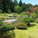 Japanese Gardens - Botanical Gardens