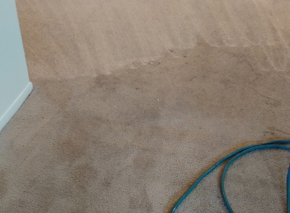RIGHT CHOICE CARPET CLEANING LLC - Snellville, GA