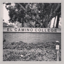 El Camino Community College District - Colleges & Universities