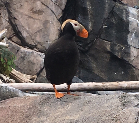 Alaska SeaLife Center - Seward, AK