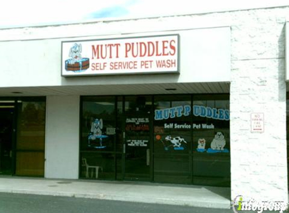 Outstanding Pet Servant - Arvada, CO