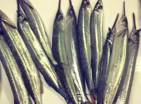 Seaford Bait Pty Ltd - Dandenong, VIC