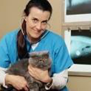 Brookfield Pet Hospital Plus - Fountain Valley, CA