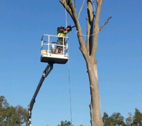 Xtreme Landworx - Yamanto, QLD