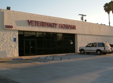 Vca orange animal sales hospital