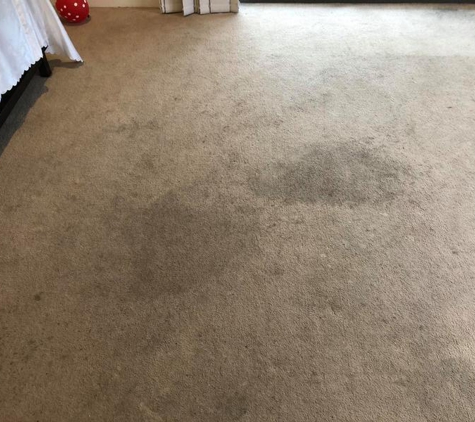 Zarz Carpet & Upholstery Cleaning - Cranbourne, VIC