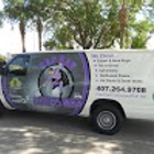 Dan Dan The Carpet Man - Carpet Cleaning Tampa