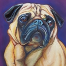 Animal Art by Sue Steiner - Pet Specialty Services