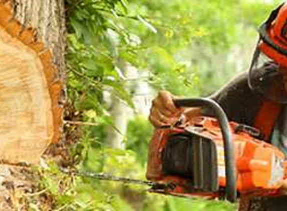 Almighty Lawn & Tree Care - Holland, TX