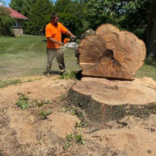 Brother's Tree Service, L.L.C. - Wheatfield, IN