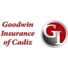 Goodwin Insurance Agency Of Cadiz