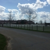 Minnesota Equestrian Center gallery