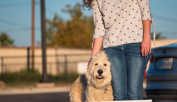 Lubbock Elite Dog Training