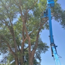 Treehuggers - Tree Service