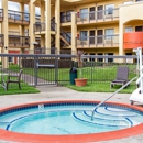 Comfort Inn & Suites San Francisco Airport North - Motels