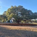 Texas Tree Services - Arborists