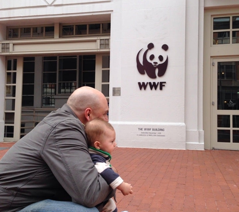 World Wildlife Fund - Washington, DC