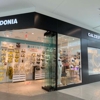 Calzedonia gallery