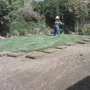 THE VALLEY SOD FARM INC