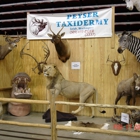 Peyser Taxidermy