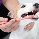 Mobile Dog Grooming of Simi Valley Thousand Oaks - Dog & Cat Grooming & Supplies