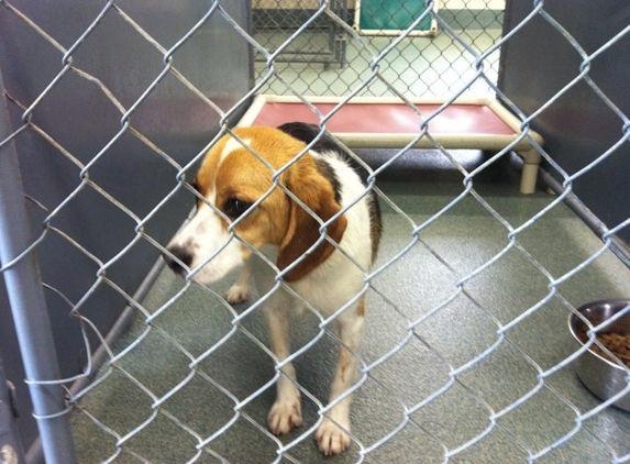 Kenton County Animal Shelter - Covington, KY