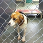 Kenton County Animal Shelter