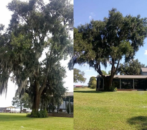 Kats Tree Service - Sorrento, FL