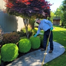 Spring Green - Pet Services
