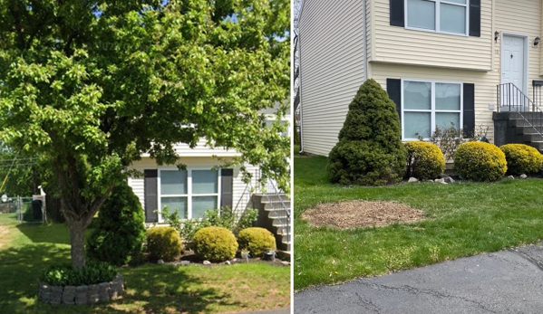 Stump Wrecker - Latham, NY. Stump Grinding Troy NY