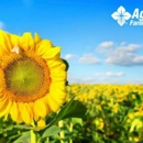 AgCountry Farm Credit Services - Credit Plans