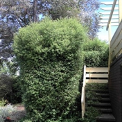 Gallery Image Number 1