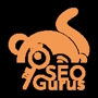 The SEO Gurus