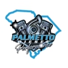 Palmetto Diesel And Performance gallery